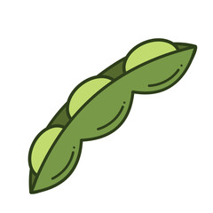 Edamame young green soy beans peas vegetable vector icon colored isolated on square white background. Simple flat cartoon vegetable healthy natural food ingredients drawing.