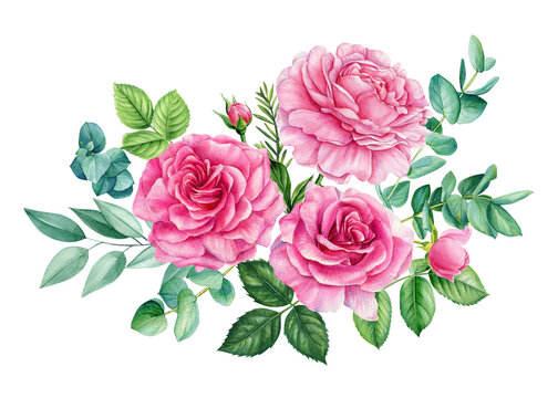 Beautiful flowers isolated on white background. Hand-drawn in watercolor, a bouquet of delicate flowers. Rose and peony