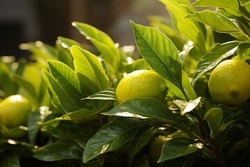 Obraz premium Photograph Of Lemon Leaf Natural Light, Generative AI 