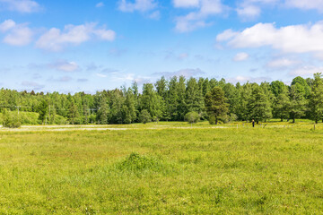 View at a meadow landscape