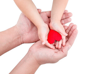Children's hands in adult hands hold a heart isolate