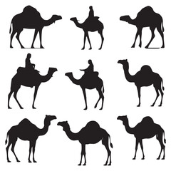 A set of silhouette Camel Vector illustration