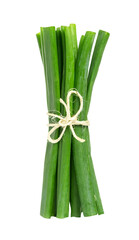 Green onion isolated on transparent background. PNG format
