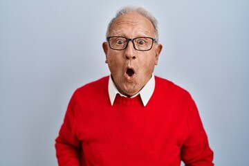 Obraz premium Senior man with grey hair standing over isolated background afraid and shocked with surprise and amazed expression, fear and excited face.