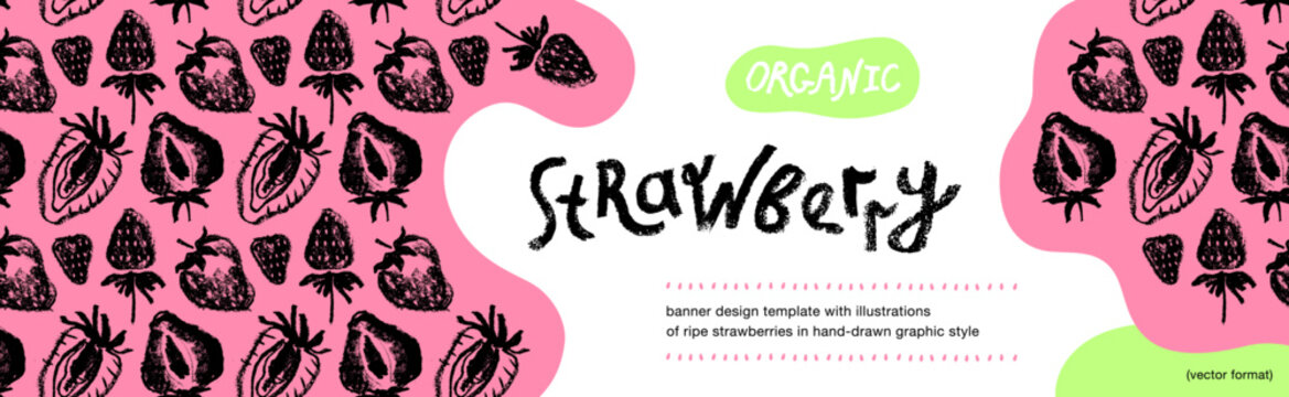 Template label design with hand drawn illustrations of ripe strawberries vector. Strawberry pattern seamless. Red berries for vegan banner, juice, jam label design. Strawberry smoothie background.