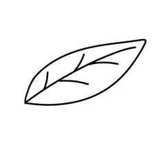 illustration of a face