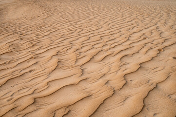 Dry sand during a hot summer day at the Dunes of Corralejo, Fuerteventura, Canary Islands, creating patterns and desert landscape