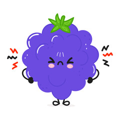 Angry Blackberry character. Vector hand drawn cartoon kawaii character illustration icon. Isolated on white background. Sad Blackberry character concept