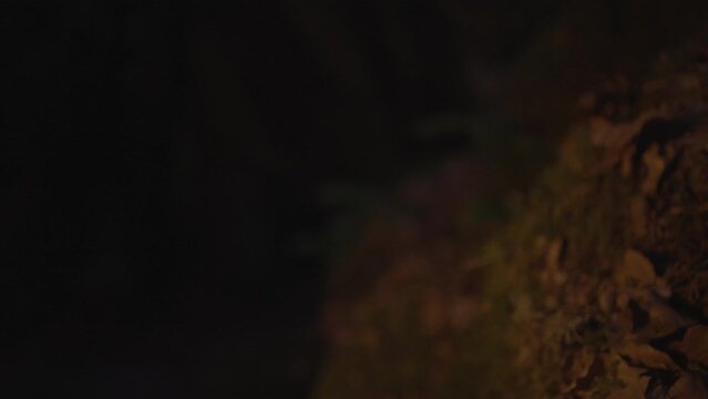 Male Adventurer Exploring Stone Rock Cave in Darkness Outside Using Torch Light