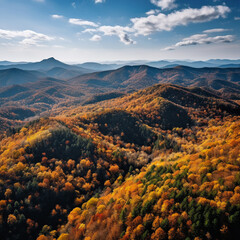 autumn leaves season drone photo from DJI Mini Pro 3 , taken in North Georgia Appalachian mountains 