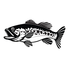 fish isolated on white background