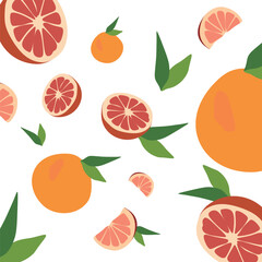 Fresh Grapefruit set. Vector flat style illustration. Bright vector collection of colorful juicy Grapefruits isolated on white. Citrus icon of whole fruit, half and slice with leaves. 