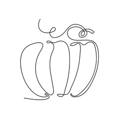The pumpkin is drawn with one line. Agriculture. Vegetarian food.