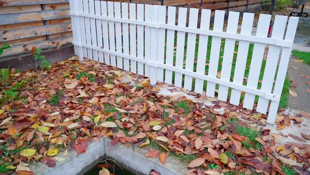 Autumn atmosphere on a country lawn. Beautiful whitewashed wooden fence on the street. Fallen leaves on the ground