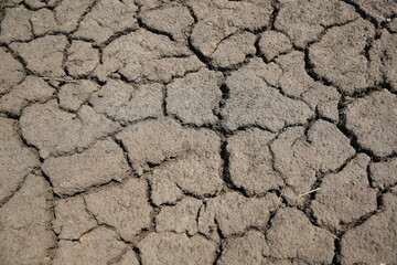 dry soil background