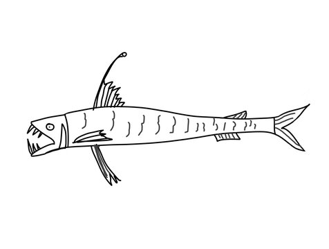 A deep sea creature viperfish in illustration