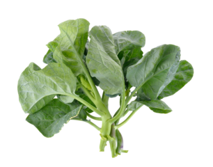 chinese broccoli on transparent png