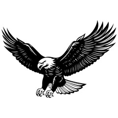 Eagle vector illustration, isolated on white background.