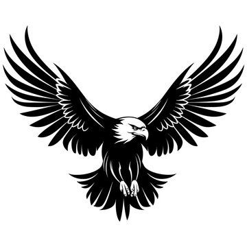 Eagle vector illustration, isolated on white background.