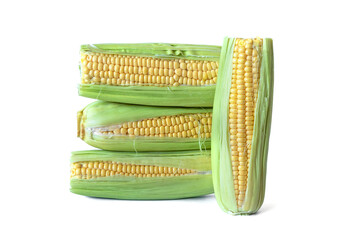 Four ears of corn stand and lie on white table, isolated