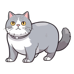 Fototapeta premium Fluffy Delight: Adorable British Shorthair Cat