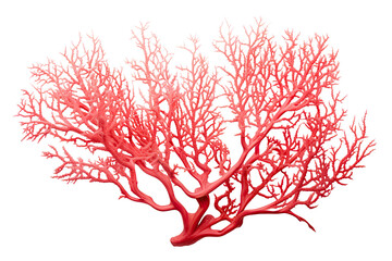 Gorgonian coral on transparent background (PNG)., generative artificial intelligence
