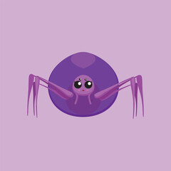 cute purple female spider with big abdomen