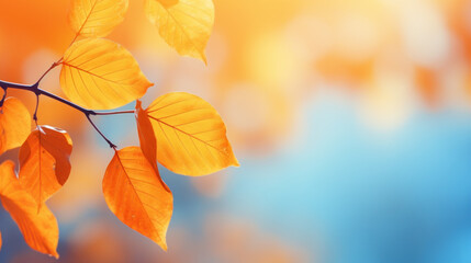 Obraz premium closeup of autumn leaves on tree