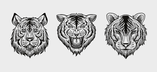 black and white tiger head vector illustration consisting of three images