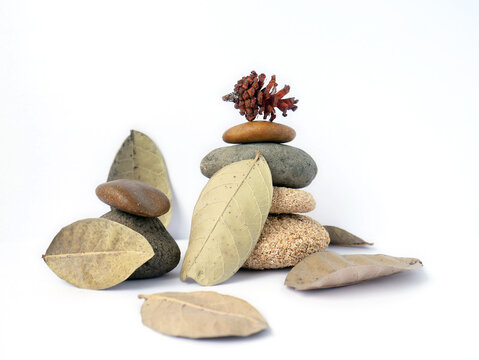 Set of pebbles mixed with pine cones isolated on white background