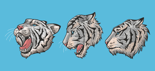 white tiger head vector illustration with shading and consisting of three images