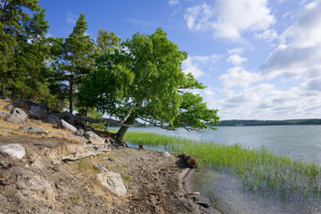 Yttereneby nature reserve - 619786363