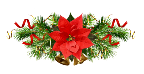 Christmas tree branches, bells and red poinsettia flower in a holiday line arrangement isolated on white or transparent background