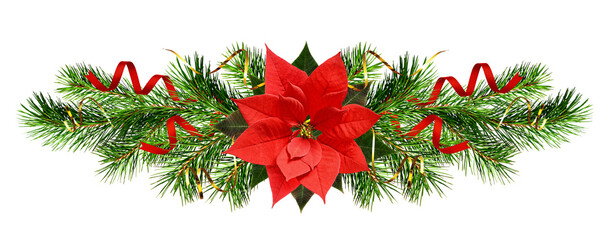 Christmas tree branches and red poinsettia flower in a holiday line arrangement isolated on white...