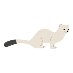Stoats,Ermine Single 16 on a white background, vector illustration. 