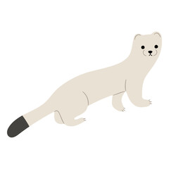 Stoats,Ermine Single 22 on a white background, vector illustration. 