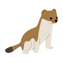 Stoats,Ermine Single 19 on a white background, vector illustration. 