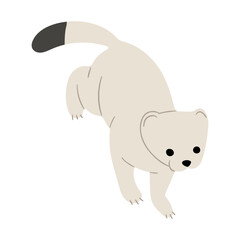 Stoats,Ermine Single 24 on a white background, vector illustration. 