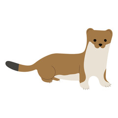 Stoats,Ermine Single 31 on a white background, vector illustration. 