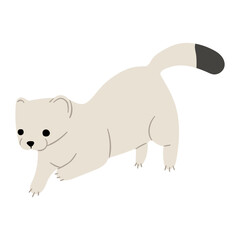 Stoats,Ermine Single 35 on a white background, vector illustration. 