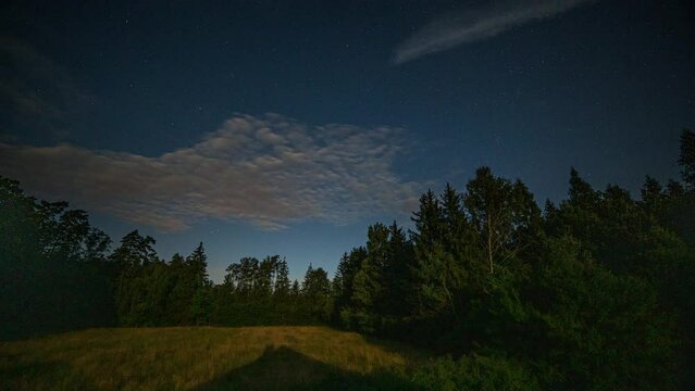 Night time lapse with sky and noctilucent clouds over forest.