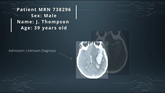 Mock patient file, data readout display. Future patient information presentation. Graphics resources for medical projects. Screen insert. 