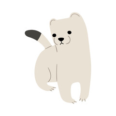 Stoats,Ermine Single 30 PNG