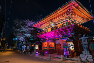 東京都千代田区 神田明神、春のライトアップ