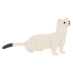 Stoats,Ermine Single 29 PNG