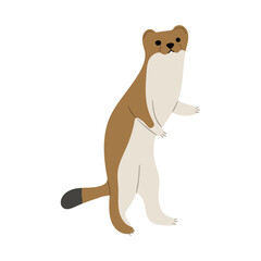Stoats,Ermine Single 32 PNG