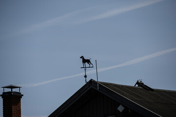 black outbuilding in the form of a dog on the roof of the house against the sky