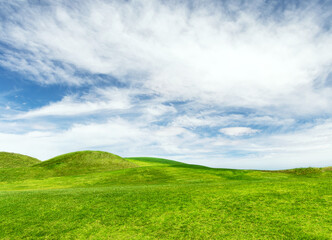 Landscape with green grass field under a blue sky