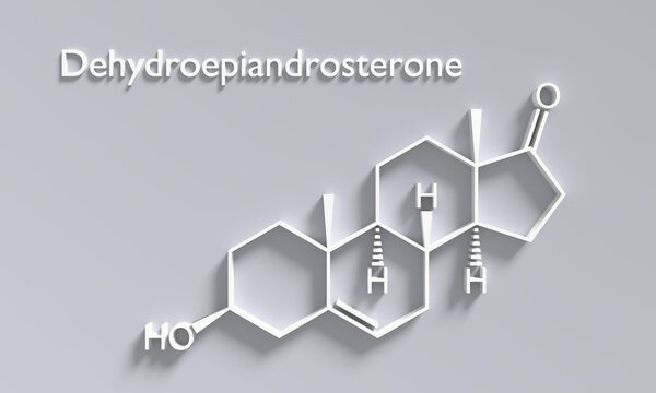 Androstenone or dehydroepiandrosterone chemical formula. Neurotransmitter and human hormones in brain. 3D render
