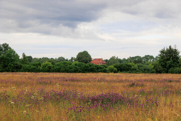View over the orchard meadows to the edge of the forest in Siebenbrunn near Augsburg on a cloudy day